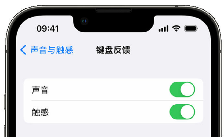 晋州苹果手机维修分享iPhone 14触感键盘使用方法 