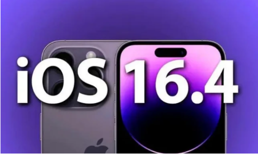 晋州苹果14维修分享：iPhone14可以升级iOS16.4beta2吗？ 