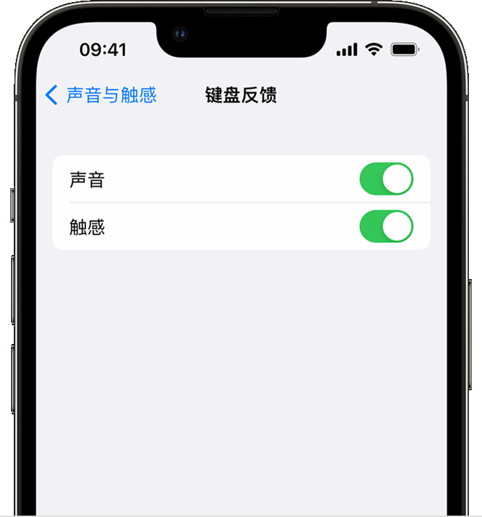 晋州苹果14维修店分享如何在 iPhone 14 机型中使用触感键盘 