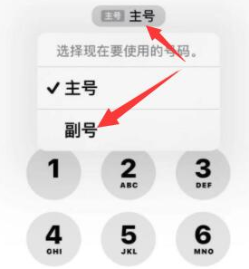 晋州苹果14维修店分享iPhone 14 Pro Max使用副卡打电话的方法 