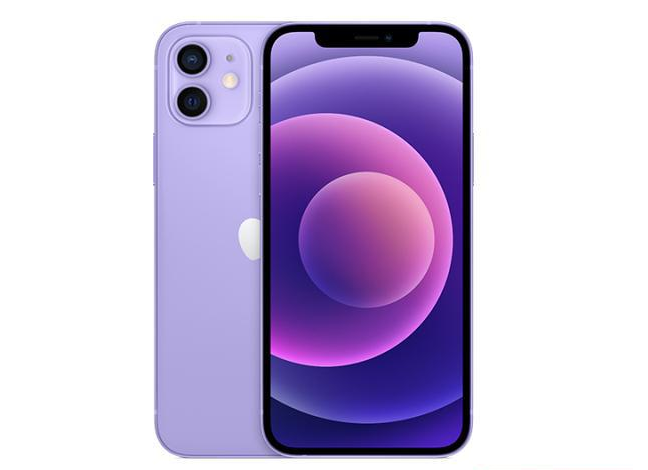 晋州苹果手机维修分享现阶段要不要入手紫色版iPhone12 